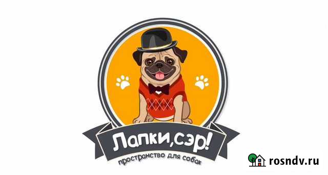 Лапки, сэр Центр дрессировки собак Кинолог Красноярск - изображение 1