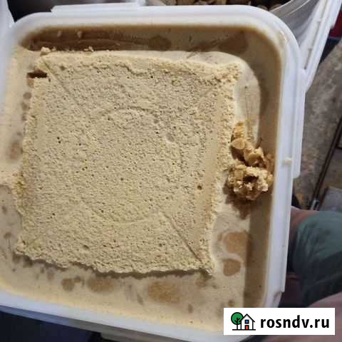 Мед разнотравье + гречка Бийск - изображение 1