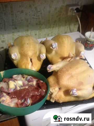 Мясо домашних кур Уфа - изображение 1