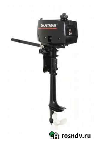 Лодочный мотор Golfstream T 2,6 Новосибирск - изображение 1