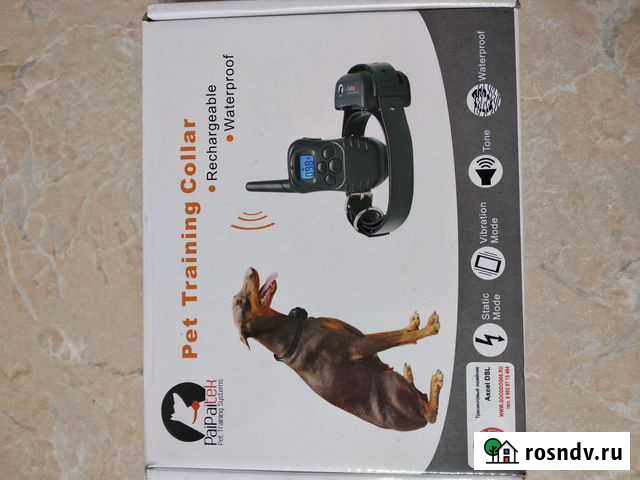 Электроошейник для дрессировки собак Axsel DSL Томск - изображение 1