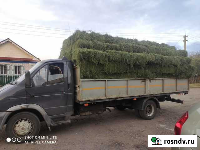 ГАЗ 33106, 2014 Комсомольское - изображение 1