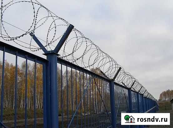 Колючая проволока  Егоза Калининград - изображение 1
