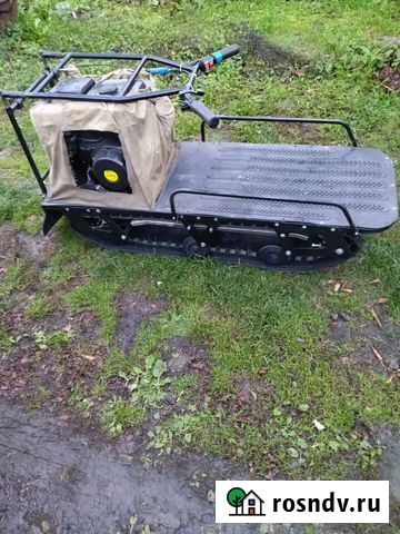 Мото собака Новосибирск - изображение 1