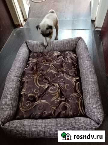 Лежанка для собак Севастополь - изображение 1