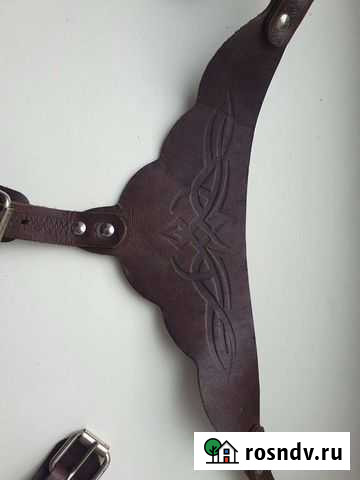 Шлейка Новокузнецк - изображение 1