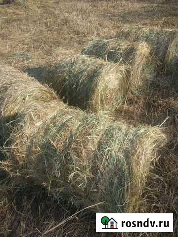 Продам сено в рулонах Новокузнецк - изображение 1