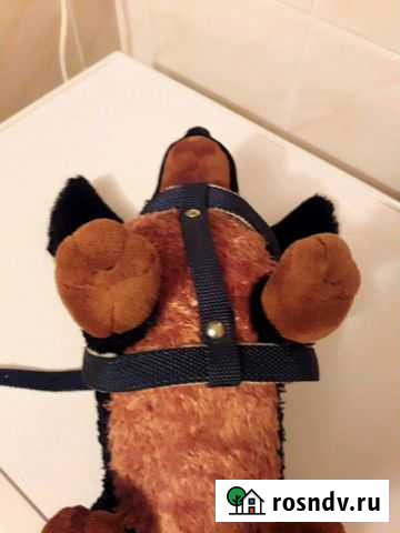 Шлейка с поводком Жуков - изображение 1