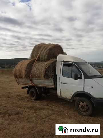 Сено в рулонах с доставкой Кропачево - изображение 1
