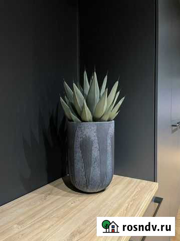 Уход за растениями Москва - изображение 1