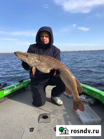 Рыбалка с гидом Саратов - изображение 1