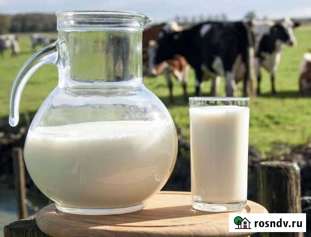 Молоко Братск - изображение 1