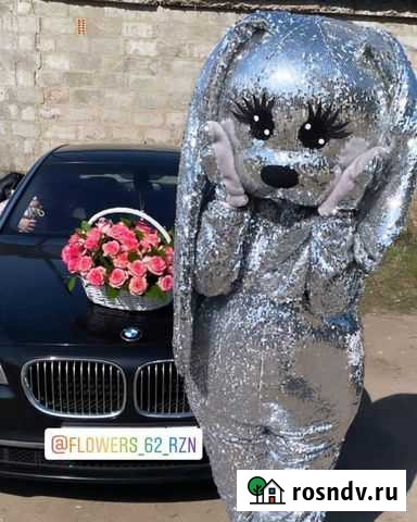 Зайка аниматор Рязань - изображение 1