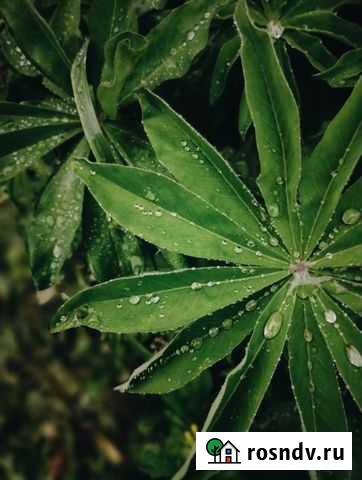 Фото/видеомейкер Елизово - изображение 1