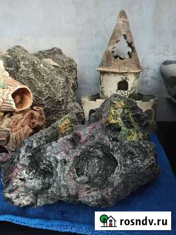 Для аквариума Смоленск - изображение 1