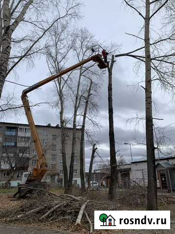 Спил Деревьев,Кронирование,расчистка Пермь - изображение 1