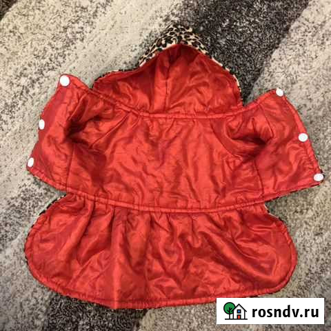 Курточка для собаки Великие Луки - изображение 1