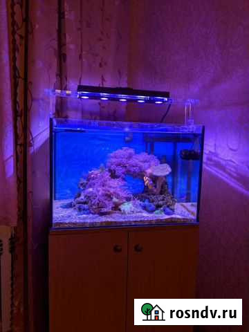 Морской аквариум Белев - изображение 1