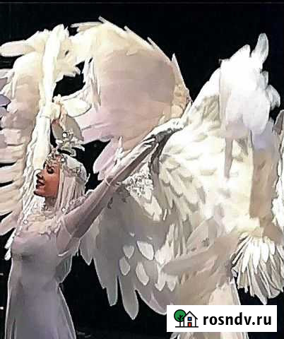 Шоу Балет Дива Нижний Новгород - изображение 1