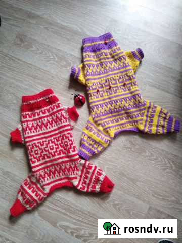 Одежда для собак Брянск - изображение 1