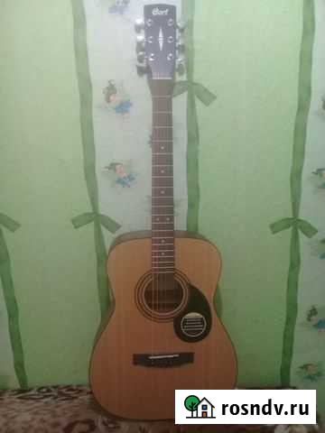 Классическая гитара бу Пристень - изображение 1