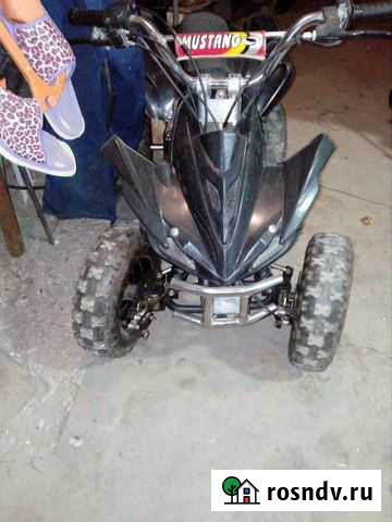 Квадрик детский бензиновый Пенза - изображение 1