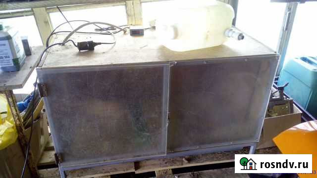 Брудер для цыплят Томск - изображение 1