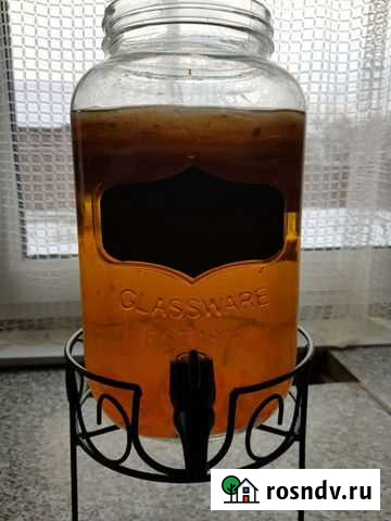 Чайный гриб Кольчугино - изображение 1