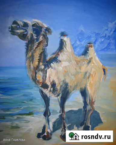 Картина Верблюд Марио Самара - изображение 1