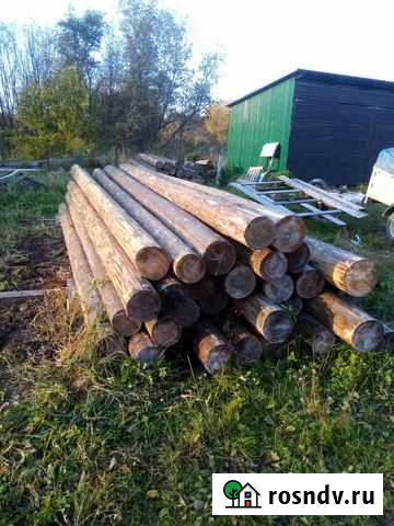 Брёвна для сруба Дедовичи - изображение 1