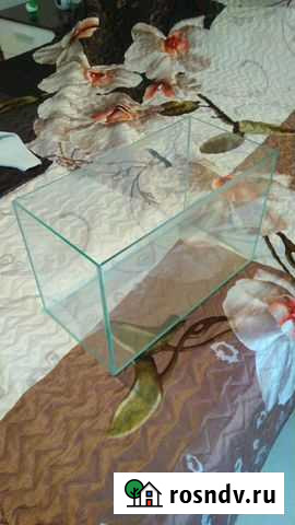 Аквариум Волгоград - изображение 1