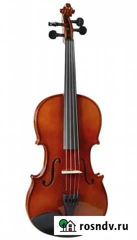 Скрипка студенческая 4/4, Strunal Москва - изображение 1