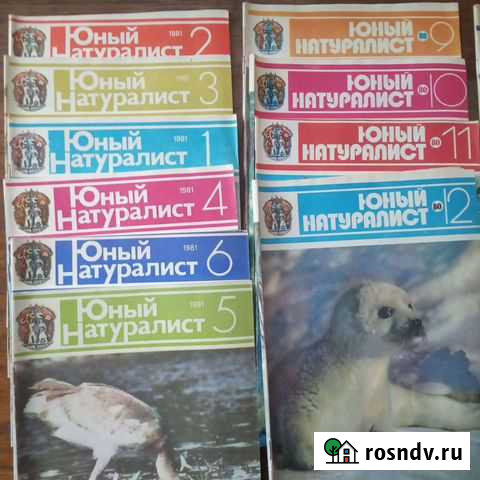 Журнал Юный натуралист Челябинск - изображение 1