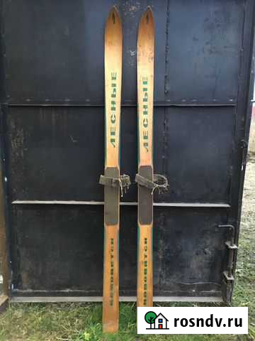 Лыжи охотничьи Рыбинск - изображение 1