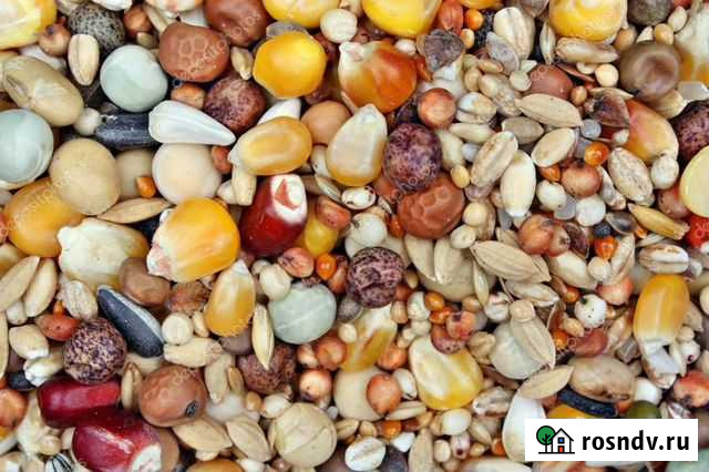 Корм для грызунов (смесь из 12 видов зерна) Воронеж - изображение 1