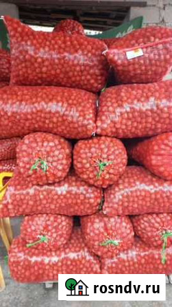 Продам грецкий орех Прохладный - изображение 1