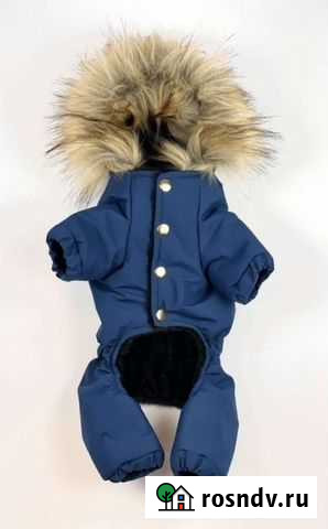 Одежда для собаки Псков - изображение 1