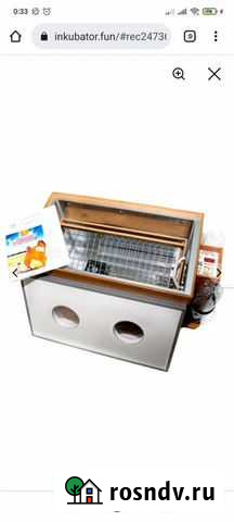 Инкубатор блиц 120 цифровой Лысьва - изображение 1