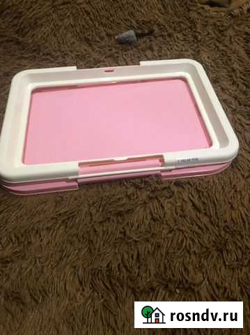 Лоток туалет для собак Симферополь - изображение 1