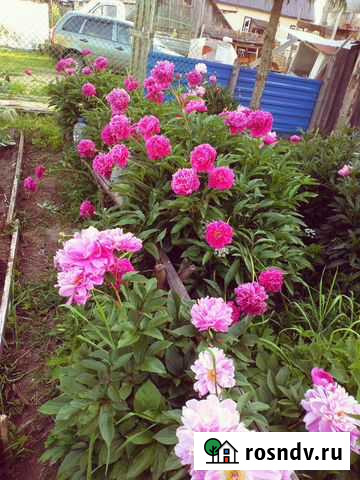 Строительство Судогда - изображение 1