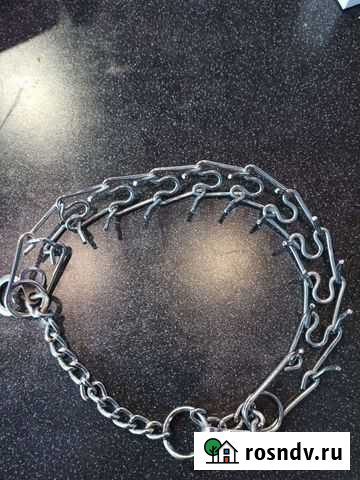 Строгий ошейник Калининград - изображение 1