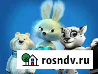 Олимпиада в Сочи-четыре разновидности Великий Новгород - изображение 1