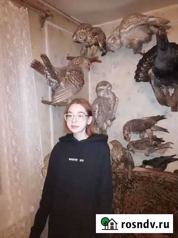 Няня для ребенка, сиделка работа Тюмень - изображение 1