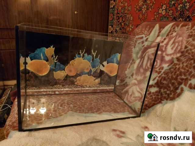Аквариум 60 литров Балашиха - изображение 1
