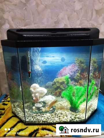 Панорамный аквариум 40 -45 л Киров - изображение 1