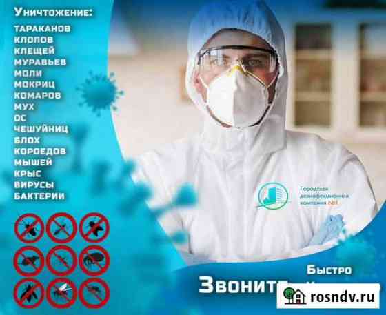 Уничтожение тараканов, клопов, других насекомых Казань