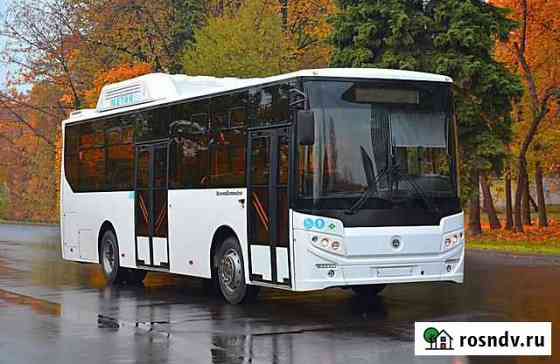 Городской автобус КАвЗ 4270-70, 2021 Иркутск
