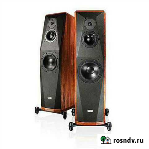 Акустическая система Peak Consult Empress VII Пермь - изображение 1