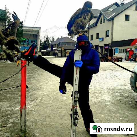 Инструктор по горным лыжам Эльбрус - изображение 1