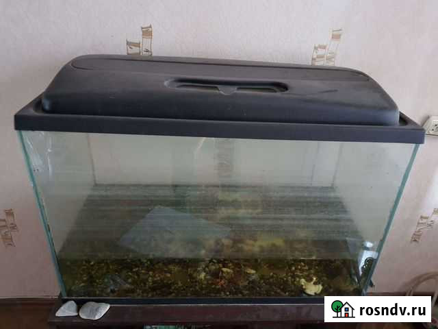 Аквариум Тольятти - изображение 1